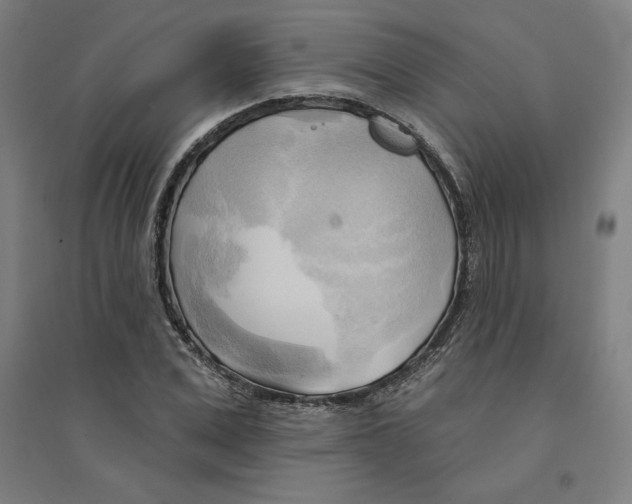 X0000094350975200711301358