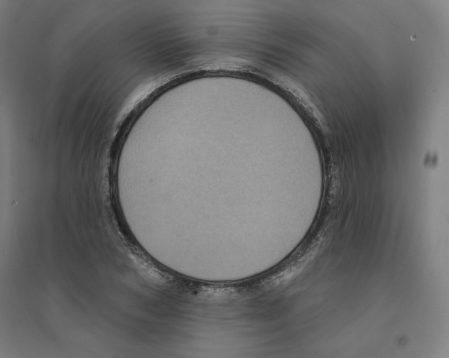X0000094350978200711301357