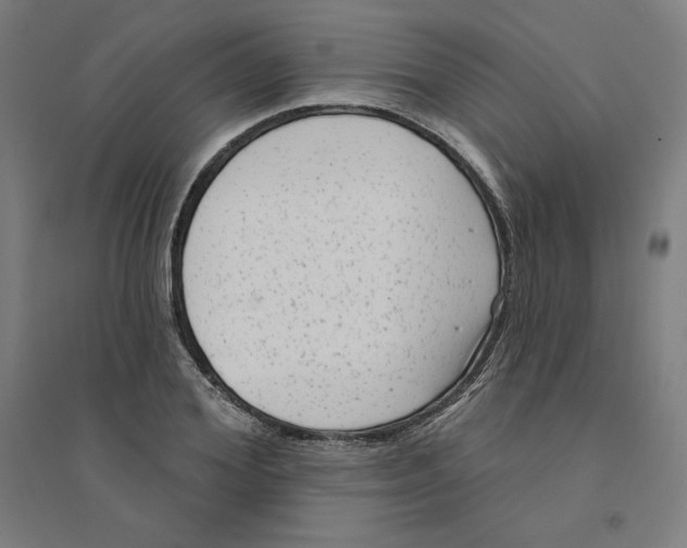 X0000094350980200711301357