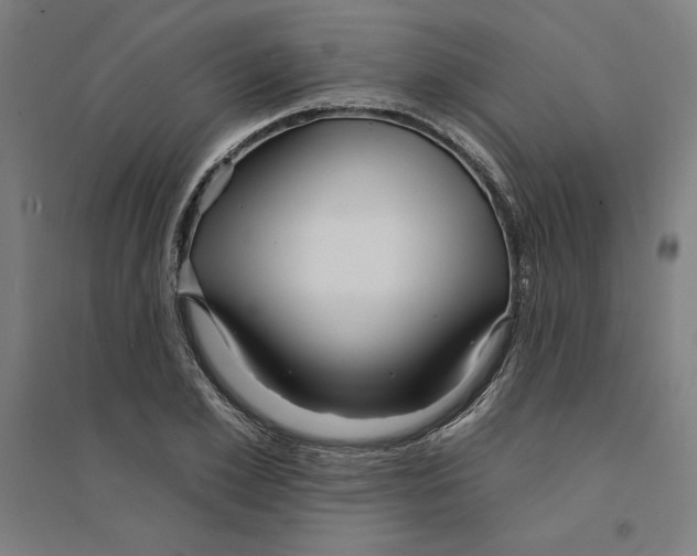 X0000094350981200711301357