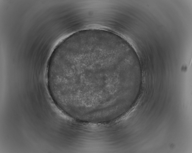 X0000094350987200711301357