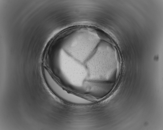 X0000094350989200711301357