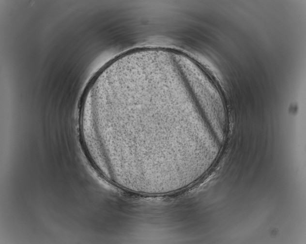 X0000094350990200711301357