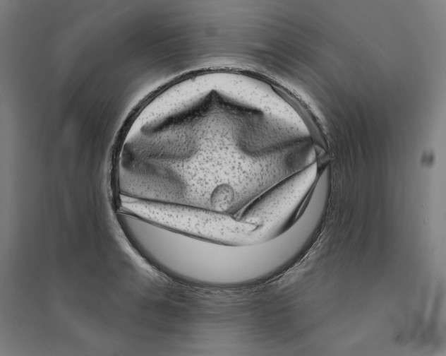 X0000094350991200711301357