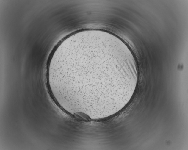 X0000094350992200711301357
