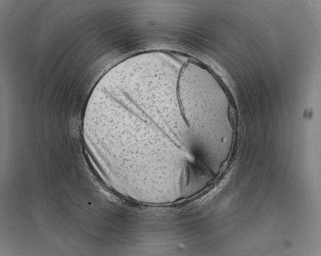 X0000094350993200711301357