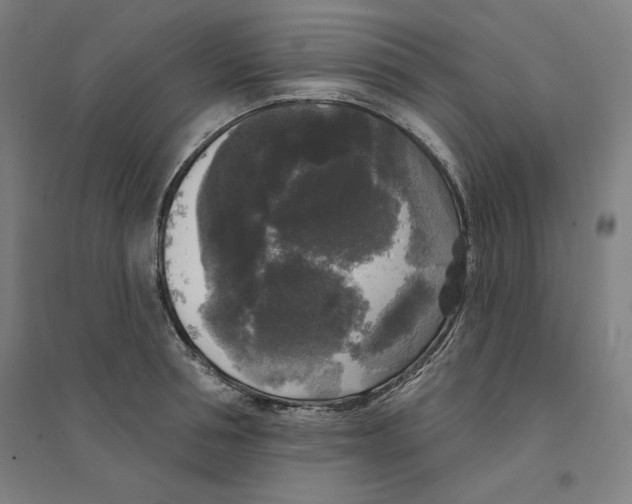 X0000094350994200711301357