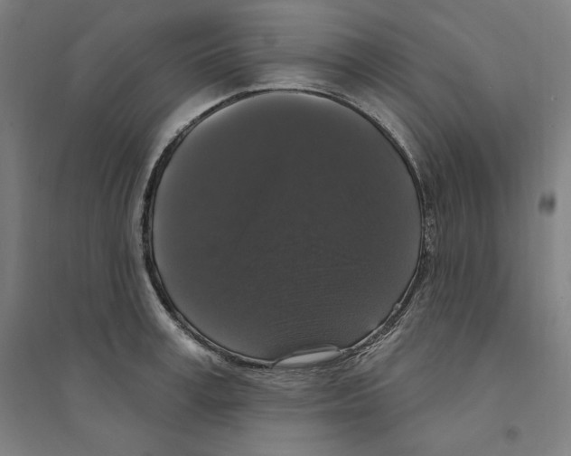 X0000094350995200711301357