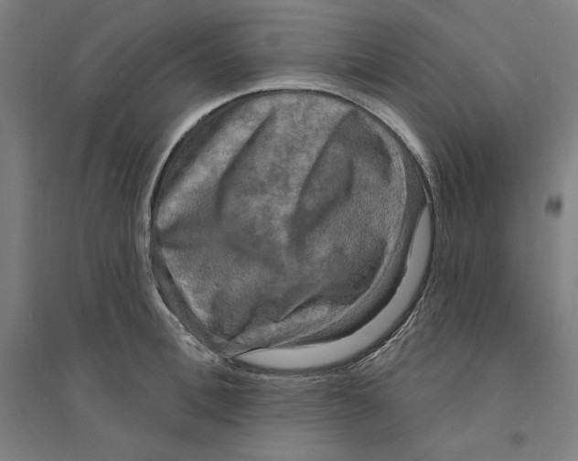 X0000094350996200711301357