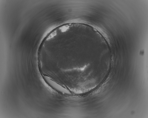 X0000094350998200711301357