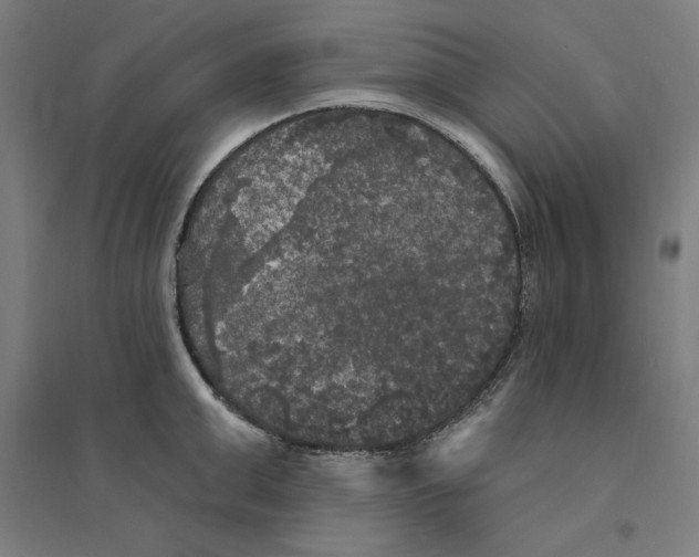 X0000094350999200711301357