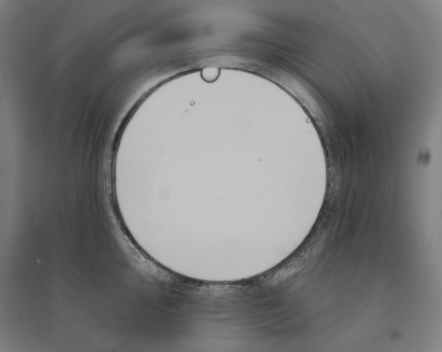 X0000094351000200711301357