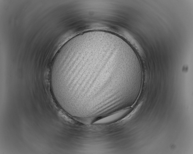 X0000094351001200711301357