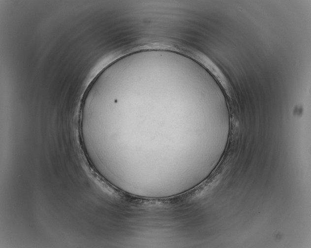 X0000094351002200711301357
