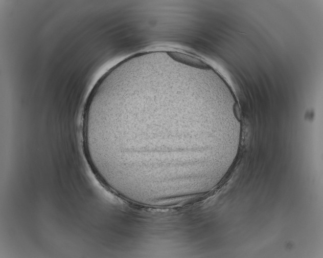 X0000094351003200711301357