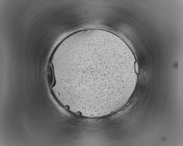 X0000094351005200711301357