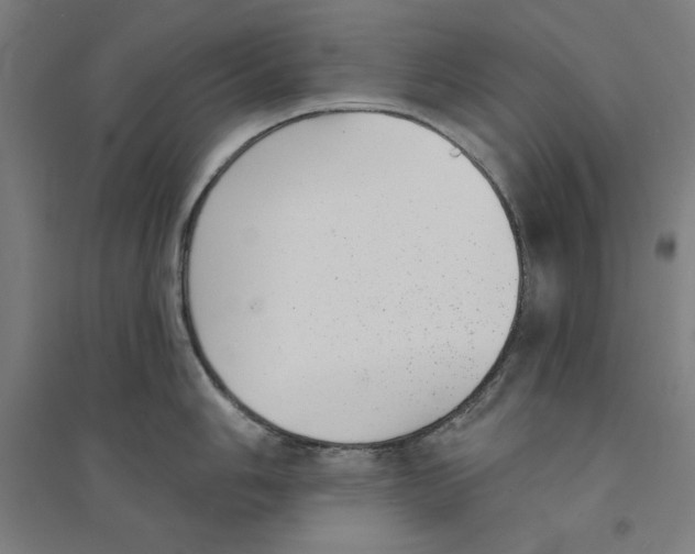 X0000094351006200711301357