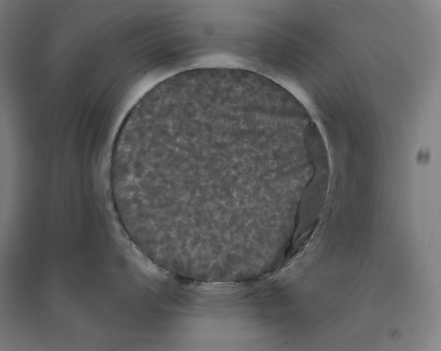 X0000094351008200711301357