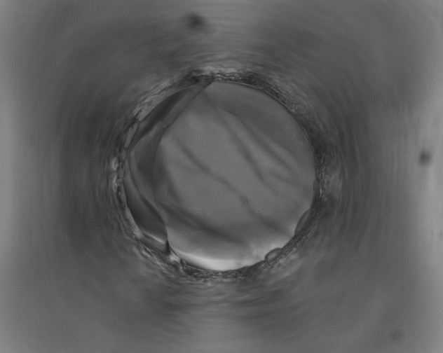 X0000094351010200711301356