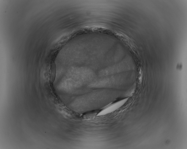 X0000094351014200711301356