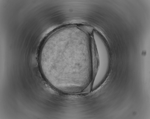 X0000094351018200711301356