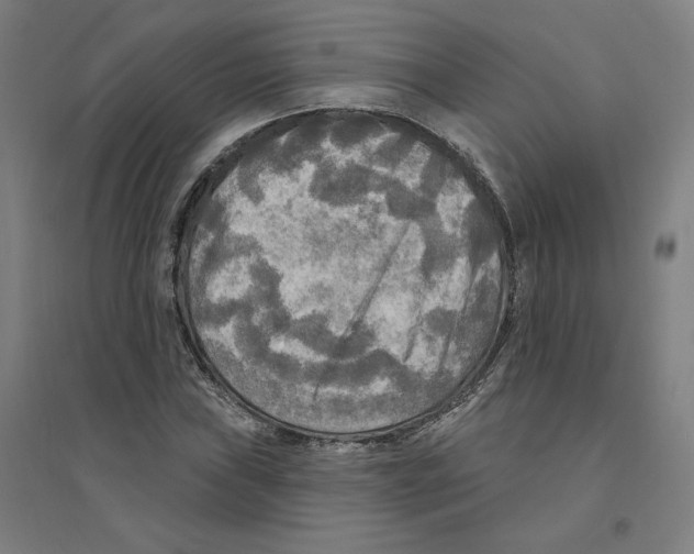 X0000094351019200711301356
