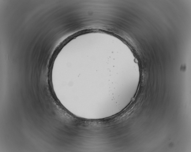 X0000094351020200711301356