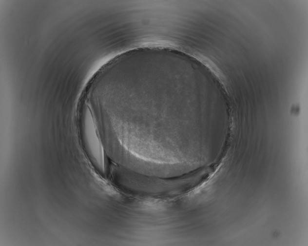 X0000094351022200711301356