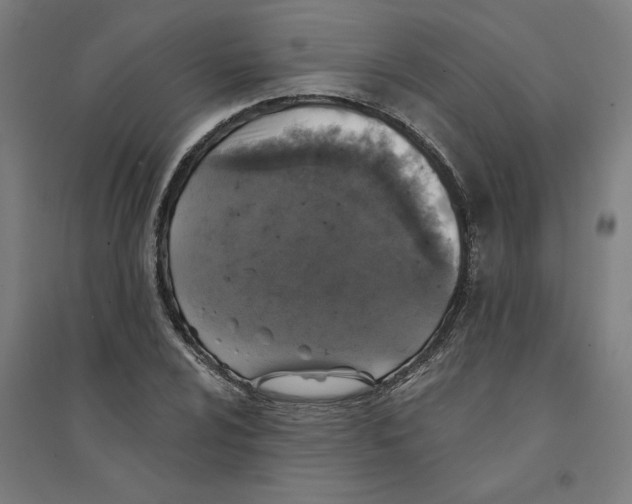 X0000094351024200711301356