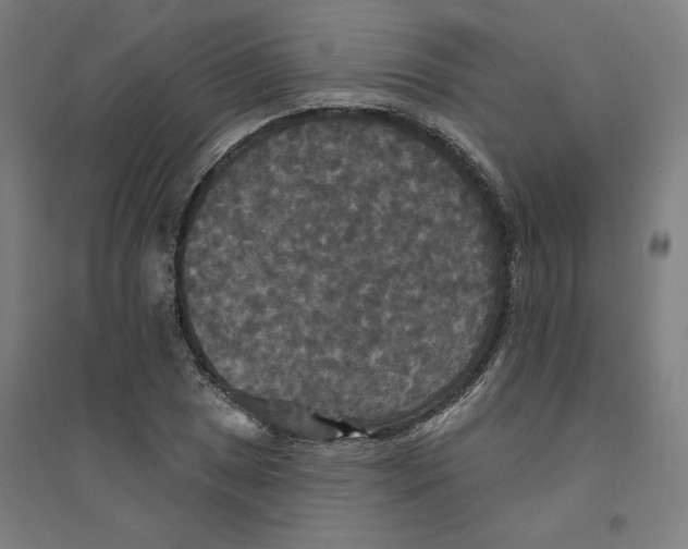 X0000094351025200711301356
