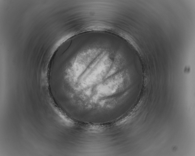 X0000094351026200711301356