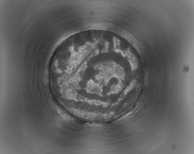X0000094351027200711301356