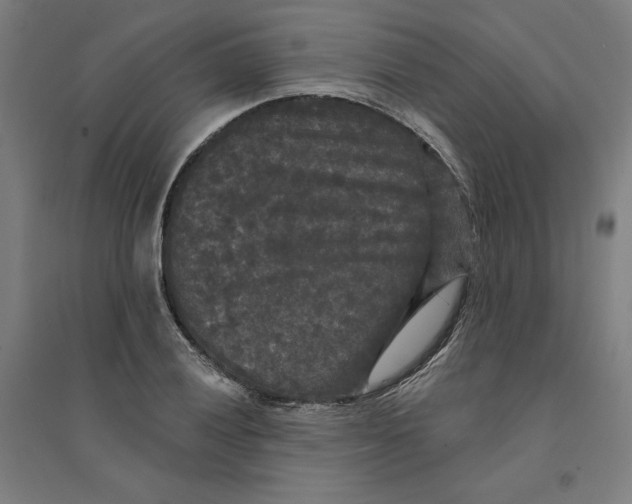 X0000094351028200711301356