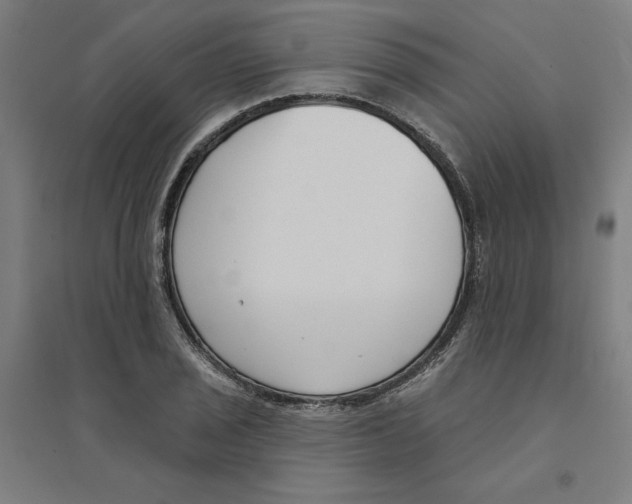 X0000094351029200711301356