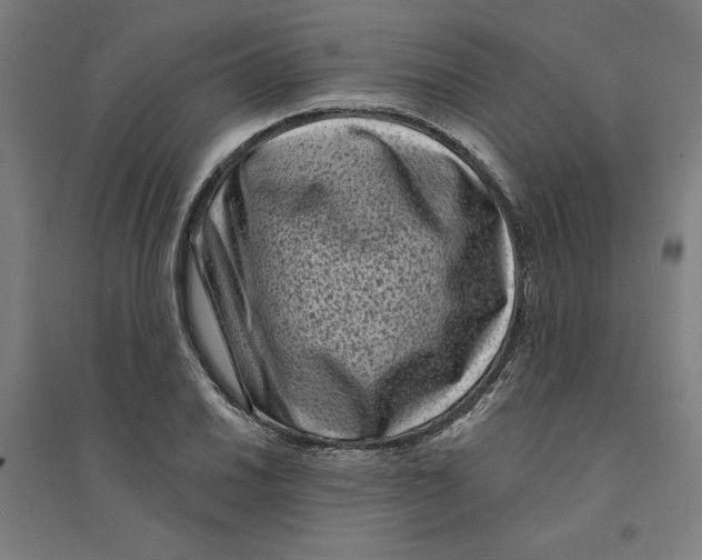 X0000094351030200711301357