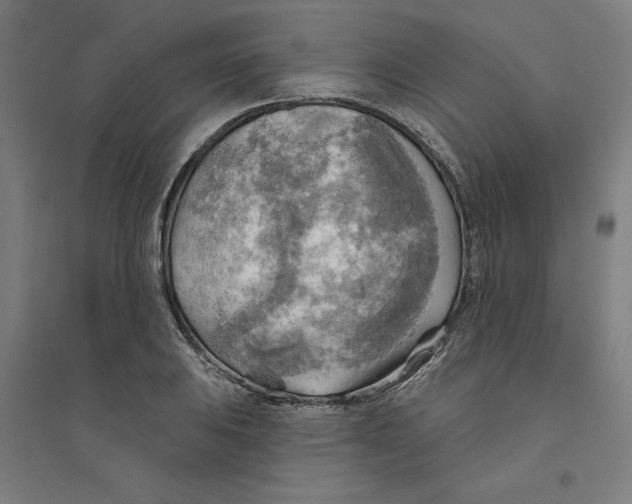 X0000094351031200711301357