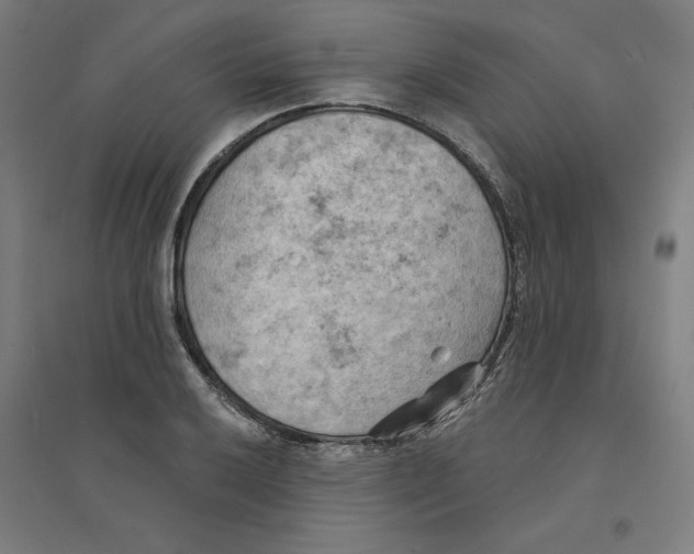 X0000094351032200711301357
