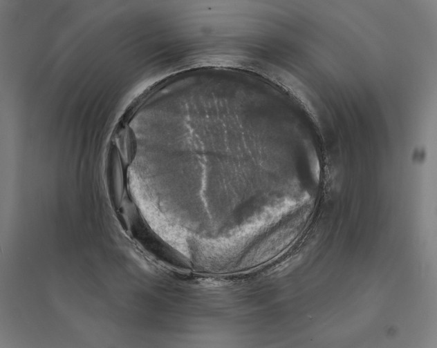 X0000094351035200711301357