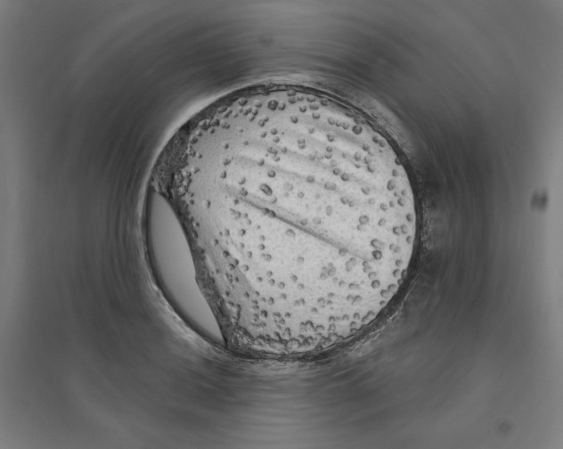 X0000094351036200711301357