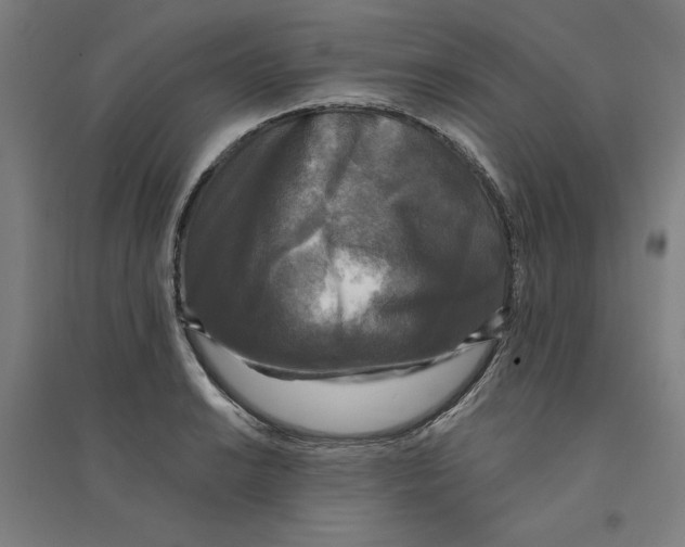 X0000094351038200711301357