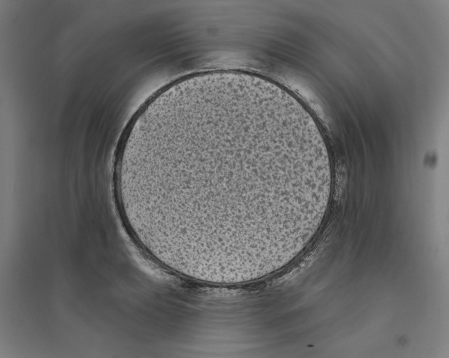 X0000094351039200711301357