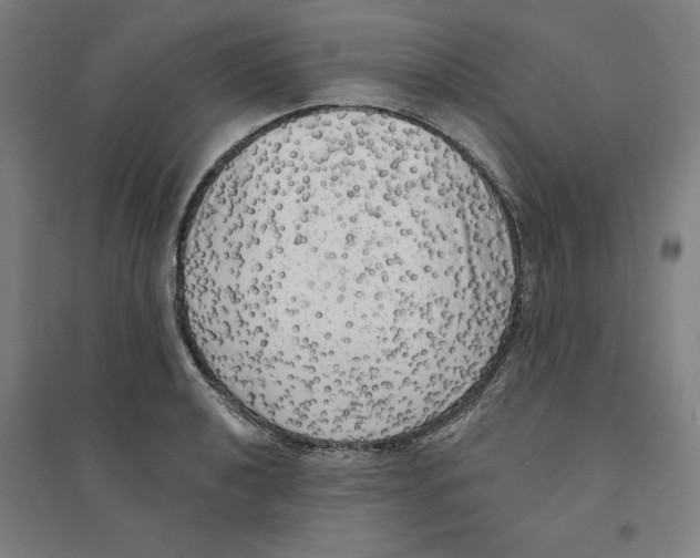 X0000094351040200711301357