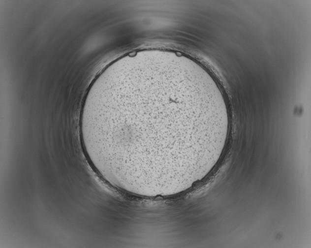 X0000094351041200711301357
