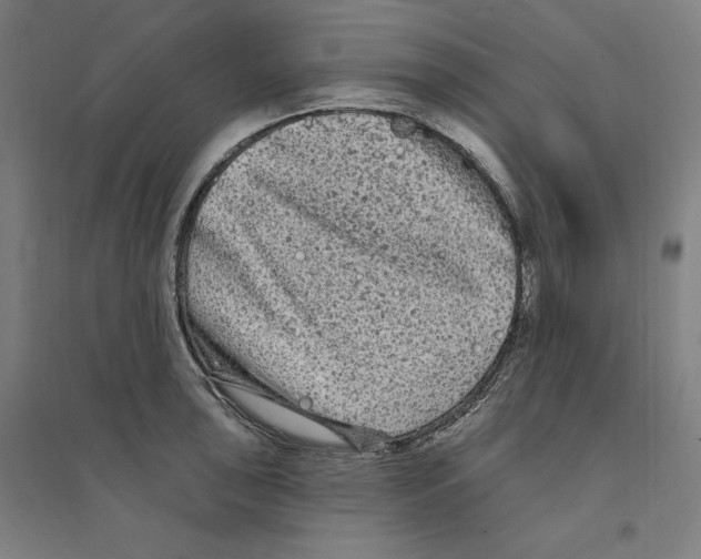 X0000094351043200711301357