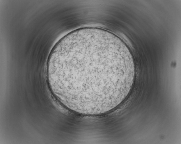 X0000094351044200711301357