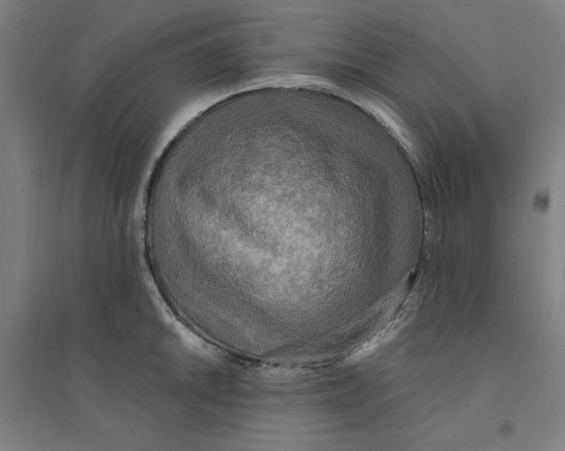 X0000094351046200711301357