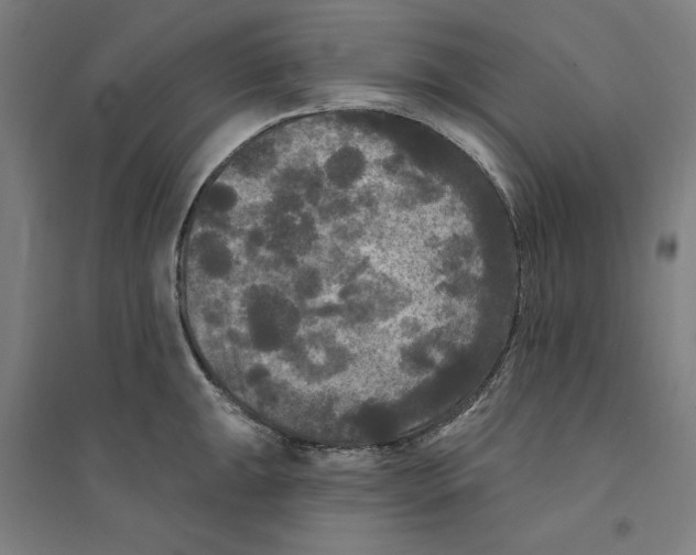 X0000094351047200711301357