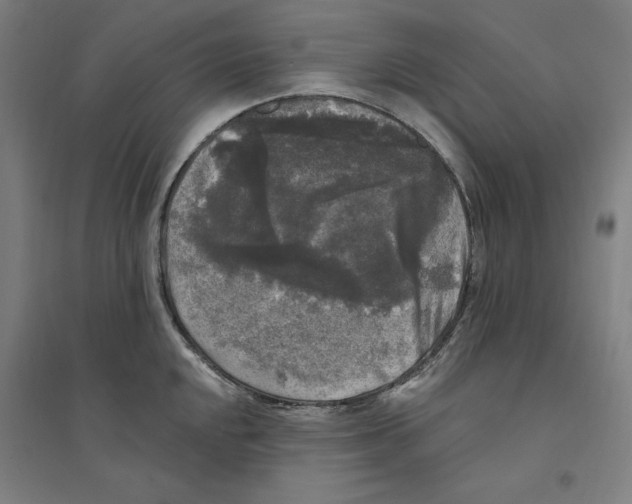 X0000094351048200711301357