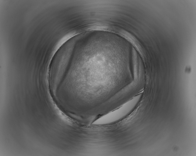 X0000094351050200711301357