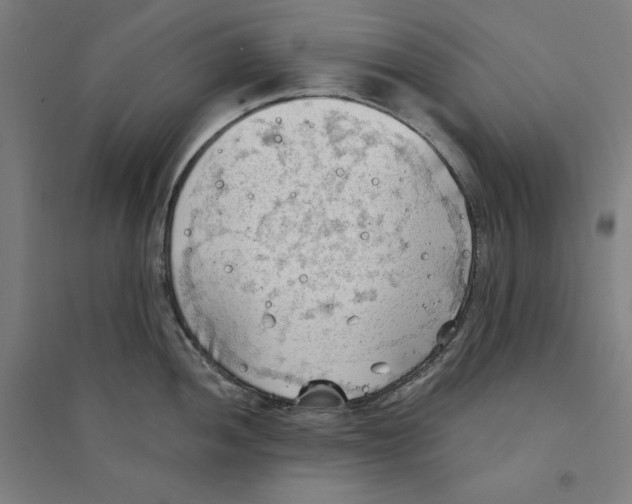 X0000094351052200711301357